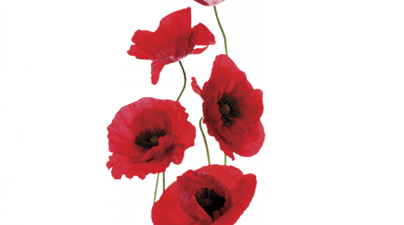 ANZAC