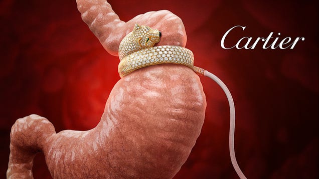 Cartier Introduces New Diamond-Encrusted Gastric Lap-Band