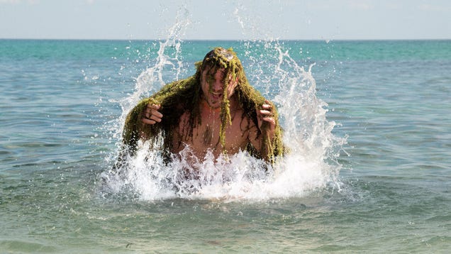 Naked Man Emerging From Ocean Must Have Just Finished Evolving