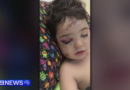 Perth mum’s ‘living nightmare’ after four-year-old attacked by dog