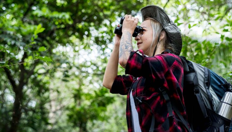 Birdwatchers in 201 Countries Break World Record Documenting 7,800 Species in a Single Big Day