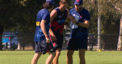 Demons young gun goes down at training