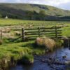 England’s Largest Bird Sanctuary Grows by 30%: ‘It’s incredible, the place just swarms with birdlife’