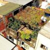 Gray Slums of Brazil Turn Green with Rooftop Garden Project in Full Bloom