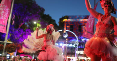 Anthony Albanese joins revellers at the 2025 Sydney Mardi Gras as election looms