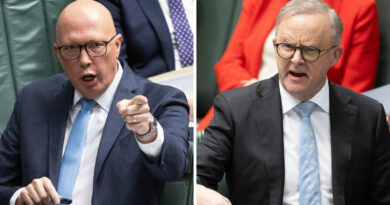 Labor MPs use purple and blue branding, as Liberals hide Dutton