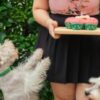 New Obesity Gene Identified Causes Dogs to Want More Food–And it’s Also in Humans Prone to Over-Eating